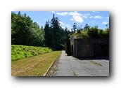 DSC01767.jpg