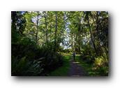 DSC01791.jpg