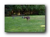 DSC01806.jpg