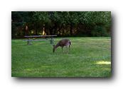 DSC01807.jpg