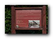 DSC01814.jpg