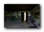 DSC01561.jpg