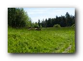 DSC01569.jpg