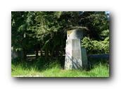 DSC01570.jpg