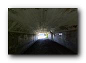 DSC01575.jpg
