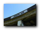DSC01579.jpg