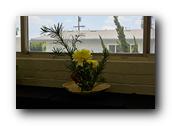 DSC02380.jpg