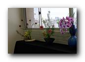 DSC02385.jpg