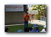 DSC02390.jpg