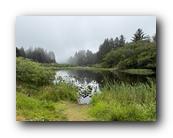 IMG_7964.jpg