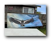IMG_7968.jpg