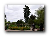 P1110130.jpg
