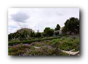 P1110165.jpg