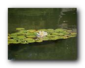 Huntington024150426.jpg