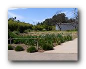 Huntington034150426.jpg