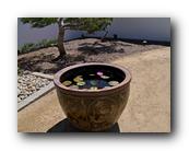 Huntington037150426.jpg