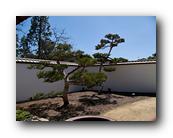 Huntington038150426.jpg