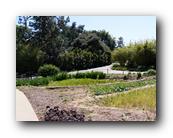 Huntington045150426.jpg