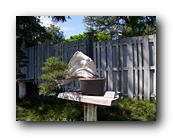 Huntington054150426.jpg