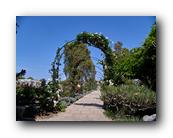 Huntington078150426.jpg