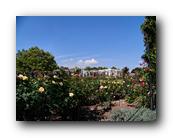 Huntington079150426.jpg