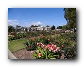 Huntington083150426.jpg