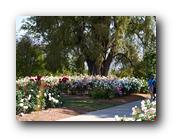 Huntington087150426.jpg