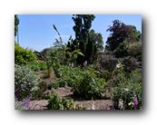 Huntington094150426.jpg