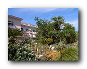 Huntington147150426.jpg
