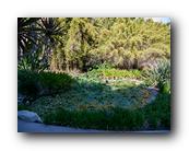 Huntington152150426.jpg