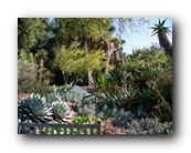 Huntington165150426.jpg