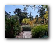 Huntington166150426.jpg