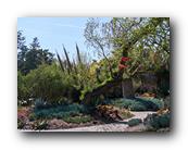 Huntington167150426.jpg