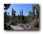 Huntington168150426.jpg