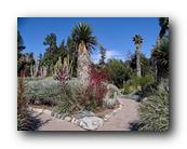 Huntington169150426.jpg