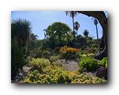Huntington173150426.jpg