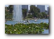 DSC02409.jpg