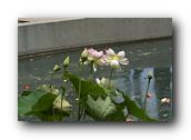 DSC02414.jpg