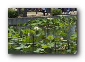 DSC02416.jpg
