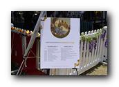 DSC02426.jpg