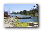 DSC02431.jpg