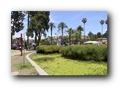 DSC02464.jpg