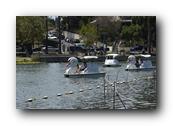 DSC02486.jpg