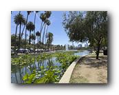 IMG_8177.jpg
