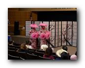 MPKCherryBlossom051120426.jpg