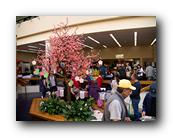 MPKCherryBlossom081120426.jpg