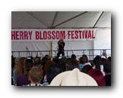 MPKCherryBlossom102120426.jpg