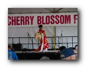 MPKCherryBlossom120120426.jpg
