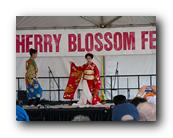 MPKCherryBlossom122120426.jpg