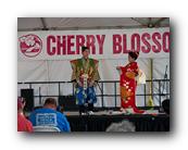 MPKCherryBlossom127120426.jpg